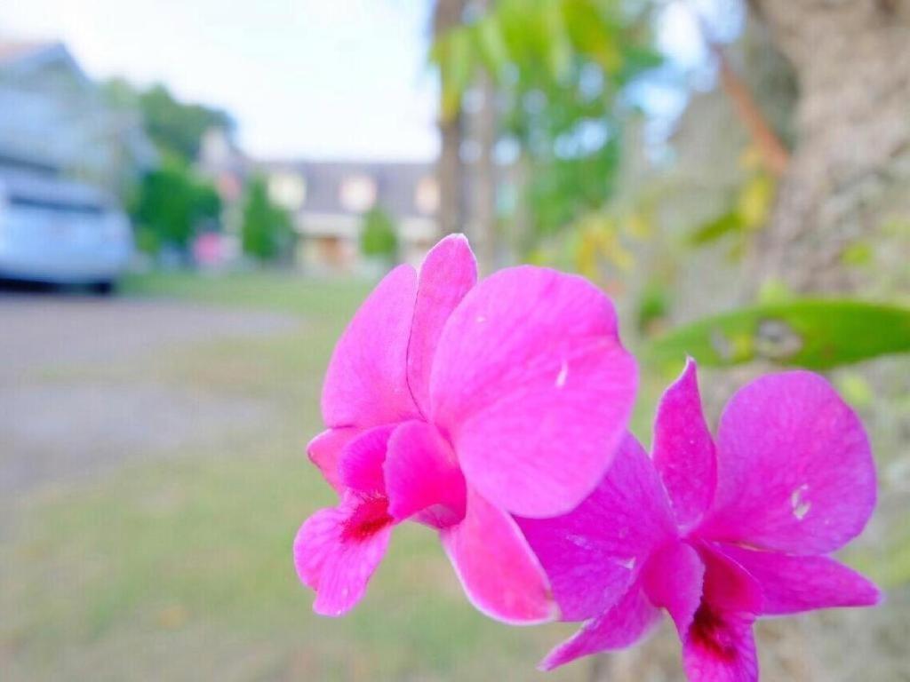 Charisma Resort Suan Phueng Bagian luar foto